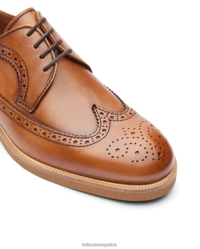 Lottusse homens niza escova a panturrilha derby 8TX8R4112 calçados marrom
