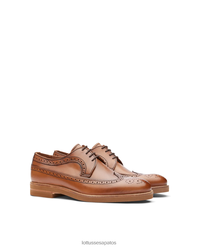 Lottusse homens niza escova a panturrilha derby 8TX8R4112 calçados marrom
