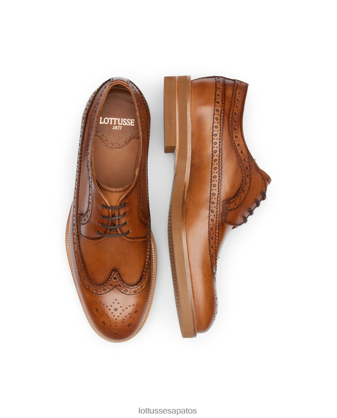 Lottusse homens niza escova a panturrilha derby 8TX8R4112 calçados marrom