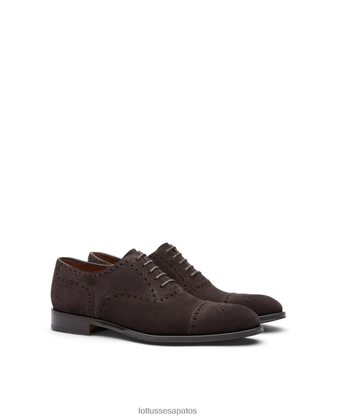 Lottusse homens Lenox camurça bezerro oxford 8TX8R4138 calçados café