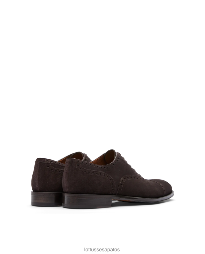 Lottusse homens Lenox camurça bezerro oxford 8TX8R4138 calçados café