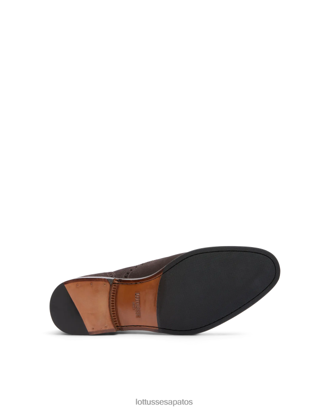Lottusse homens Lenox camurça bezerro oxford 8TX8R4138 calçados café