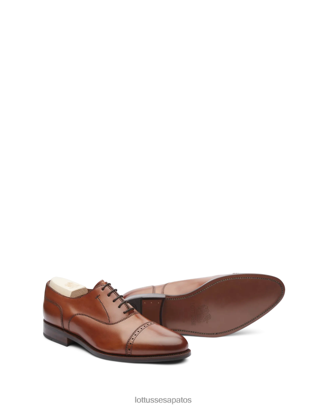 Lottusse homens crosta premium anilina bezerro oxford 8TX8R451 calçados marrom