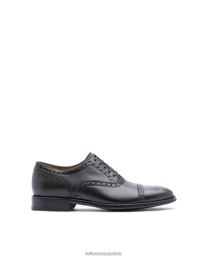 Lottusse homens lenox escovar bezerro oxford 8TX8R411 calçados café