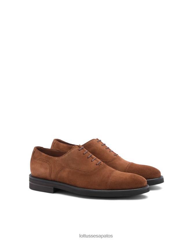 Lottusse homens oxfords de camurça de bezerro holborn 8TX8R4144 calçados marrom