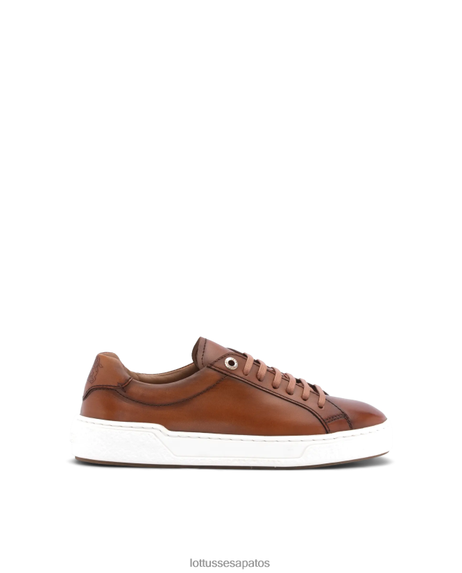 Lottusse homens tênis torino bezerro 8TX8R4189 calçados marrom