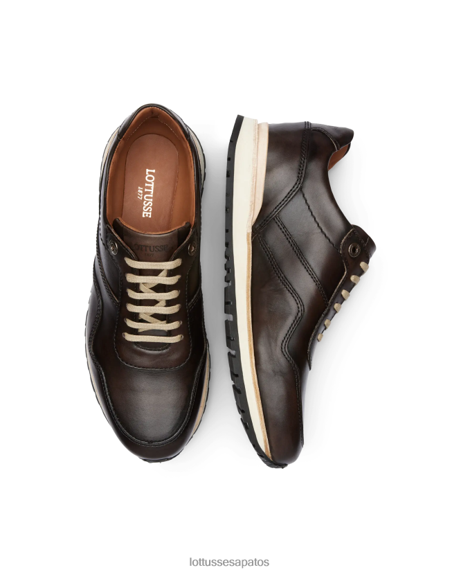 Lottusse homens tokyo tênis brush off bezerro 8TX8R422 calçados café